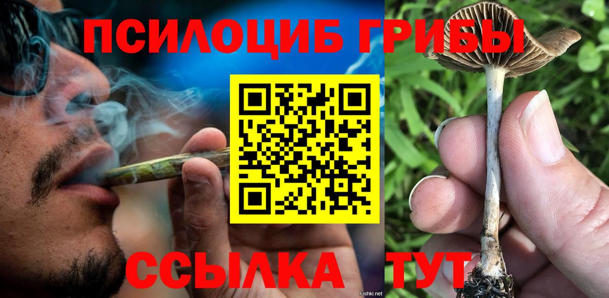 Псилоцибиновые грибы Psilocybine cubensis  Галлюциногенные грибы Psilocybe  Тулун  Вход с VPN 
