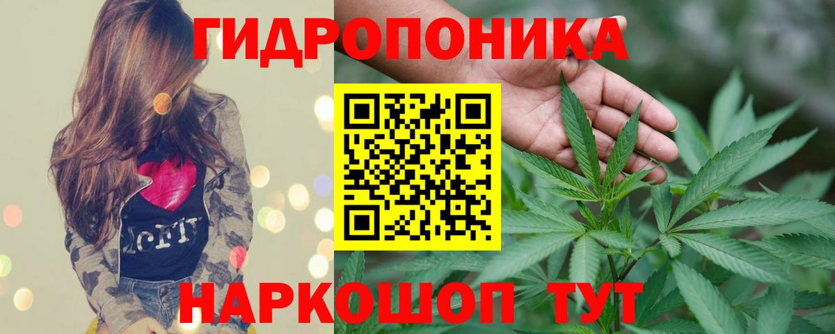 Канабис Bruce Banner Тулун